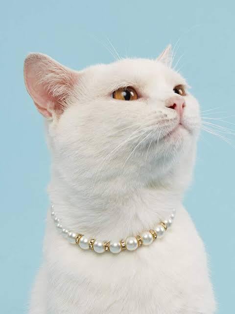 Pet Collar with Pearl and Crystal Beads, Adjustable Small Size, for Cats and Dogs (B0D12V3ZNP) Amazon Price History, Amazon Price Tracker
