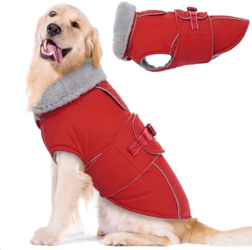 Lelepet Winter Warm Dog Coat with Harness, Windproof Dog Puffer Jacket, Reflective Fleece Lined Cold Weather Clothes, Underbelly Dog Coats for Small Medium Large Dogs Pet Outfit Apparel, 2XL Purple