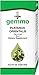 UNDA Gemmo Therapy - Platanus Orientalis - Plane Buds - 4.2 fl. oz.