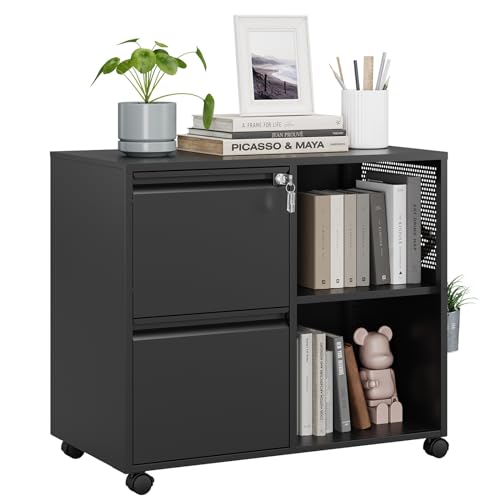 MIIIKO 2 Drawer Lateral File Cabinet