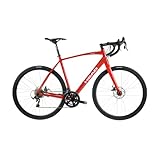 Head Pava 22 Speed Aluminum Road Bicycle with Carbon Fork in 4 Sizes