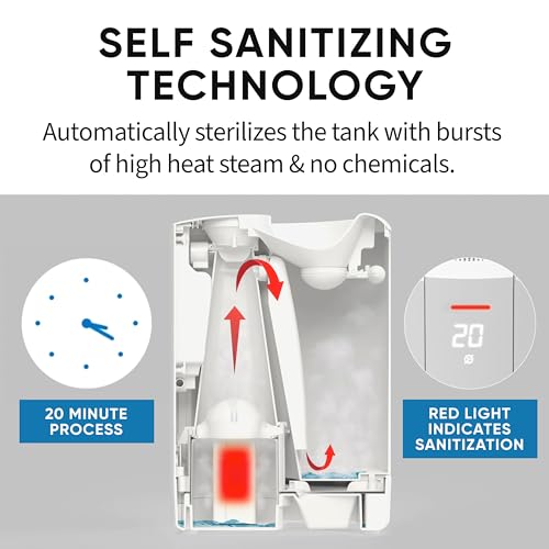 EVO WMH440 Self Sanitizing Pure Mist Humidifier (6L Capacity) – 28 Hour Continuous Run Time, Dishwasher Safe Base, Empty Tank Auto Shut-Off by EVO - Image 3