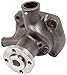 Produktbild FENDT® Wasserpumpe für Traktor, Serie: Farmer 100, 300, Favorit 600, Passend zum Motor: D226, D2566, OEM Referenz Nummern: 622607310069, C281200610010