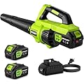 RYAHT Leaf Blower Cordless, 21V Powerful Electric Leaf Blower with 2 X 4.0Ah Batteries and Charger, 2 Speed Modes, Handheld Lightweight Leaf Blowers for Lawn Care, Patio, Dust, Blowing Leaves, Green