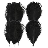 NOLITOY 20個 黒色天然オーストリッチフェザー 羽根装飾用 クラフトや結婚式の花材 お呼ばれパーティー飾りに適したフェザーパーツ