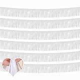 6 Pack 10 Feet Foil Fringe Garland Metallic Tassle Banner Wall Hanging Tinsel Streamers Backdrop for