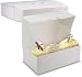 10" Length x 6.5" Width x 3.5" Height White Kraft Paperboard Auto-Popup 1-Piece Donut Bakery Box by MT Products (Pack of 15)