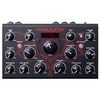 Amazon.com: Erica Synths Echolocator Stereo Delay Unit