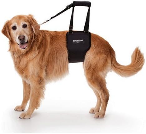 GingerLead Dog Sling Support Harness