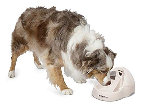 Petmate Deluxe Fresh Flow Dog And Cat Water Fountain 3 Sizes #TOP5