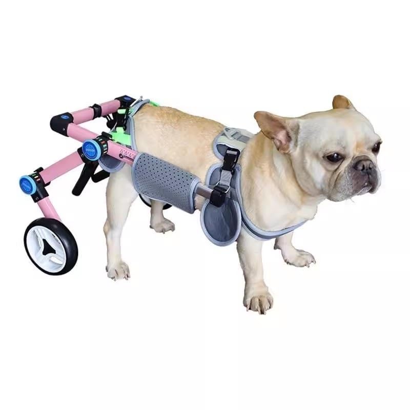 Soutien léger pour chiens XS et chats : fauteuil handicapé