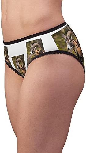 Ovis Orientalis Panties, Ovis Orientalis Underwear, Briefs, Cotton Briefs, Funny Underwear, Panties For Women