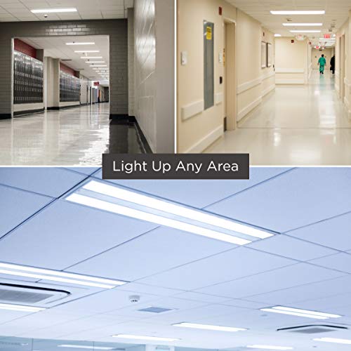 F32T8/865/ECO 32W 48 Inch T8 Fluorescent Light Bulb | 6500K Full Spectrum Medium Bi-Pin Base | 3050 Lumens 86 CRI 24000 Life Hours | Instant/Programmed Start | 25 Pack by GoodBulb