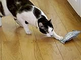 Lucifer the Cat