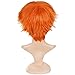 Ecvtop Wigs for Mens' Death Note Male Short Hair Wig Costume Cosplay Wigs (Orange)