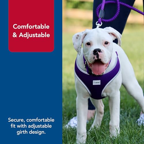 Coastal Pet Comfort Soft Reflective Wrap Adjustable Dog Harness - No-Pull Dog Harness for Small & Large Dogs - Purple - 1\" x 28\"–36\" - Thumbnail 5