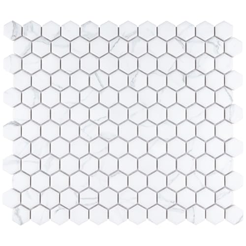 Merola Tile Carrione 1\" Hex Matte Carrara 10-1/4\" x 11-7/8\" Porcelain Floor and Wall Tile