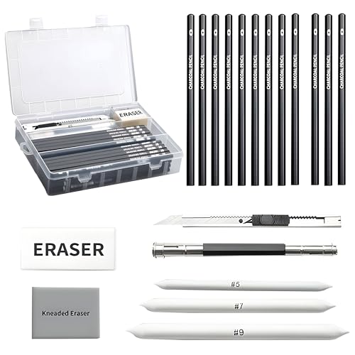 Image of DaKos Sketch Pencil Set of 38 Pieces - Drawing Pencil Set and Shading Pencil Set for Artists, Perfect Sketching Kit of Charcol Pencil and Shading Art with Carry Box (MFP1228)