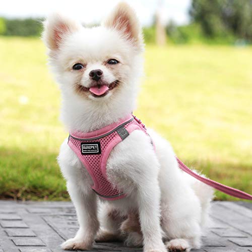 Suredoo Hundegeschirr mit Leine Anti Zug Geschirr Reflektierend Brustgeschirr für Kleine Hunde, Haustiere, Welpen, Katzen (Rosa, S)