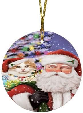 Summertime Tropical Island Beach American Curl Cat Round Flat Ornament - Pet Decorative Hanging Ornaments for Christmas X-mas Tree Decorations - 2.75" Round Flat Ceramic Christmas Ornament POR1589