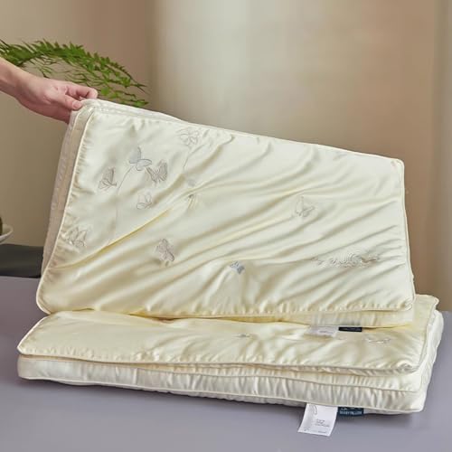Oreiller en soie de mûrier luxe brodé papillon et coton doux lot de 2
