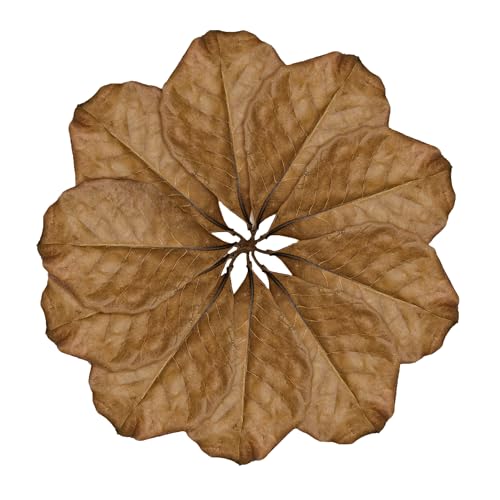 Image of SunGrow Leaf Litter for Snakes, 10 Pcs Medium Indian Almond Catappa Leaves Substrate Maintain Humidity in Corn Snake and Ball Python Terrarium, 4-7 Inches, Reptile Tank Decor Accessories