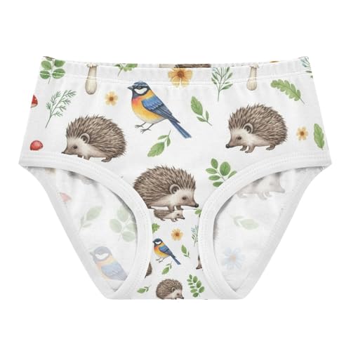Kids Underwear, Hedgehogs Toddler Girl Briefs, Girls' Cotton Brief Underwear, 2T–8 Years