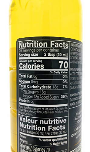 Davinci Gourmet Classic Egg Nog Syrup, 750 Ml Plastic Bottle #TOP2