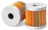 Fuel Filter FF5281 for Fleetguard