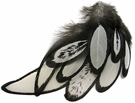 Moonlight Feather | 1 Dozen - Natural White Whiting Farms Laced Hen Saddle Feathers Fly Tying Craft Halloween Supply