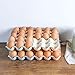 Egg Tray Fresh Preservation Multipurpose 3 Rows Space Saving Egg Storage Container for Kitchen Refrigerator