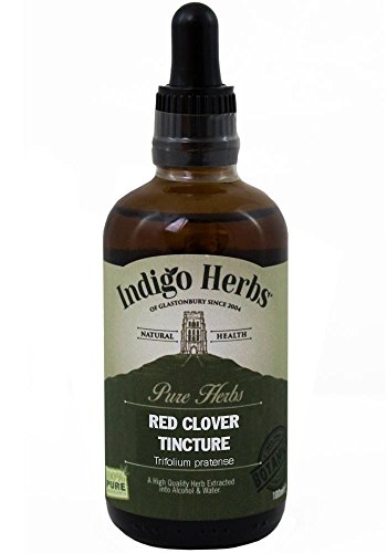 Rotklee Tinktur - 100ml (Red Clover Tincture) Cover