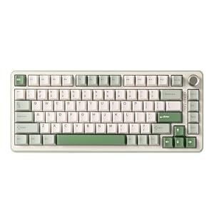 YUNZII B75 PRO Mechanische Tastatur, 75% Gaming Tastatur Dichtung Hot Swap Keyboard mit Knopf, Vorgeschmierte Schalter RGB, BT/Type-C/2.4G QWERTY Keyboard(Matcha Green, Cocoa Cream V2 Switch)