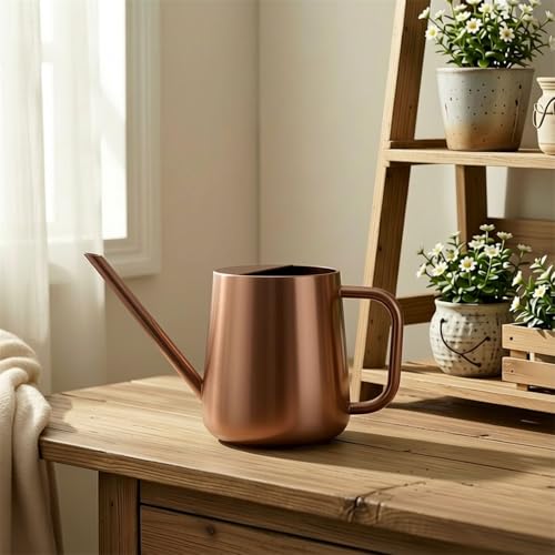 Arrosoir en acier inoxydable 1000 ml pour fleurs de maison - 4