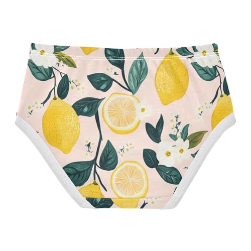 Wusikd Lemon Flowers Girls' Underwear Cotton Leaves Girls Briefs Soft Toddler Underwear 2T2