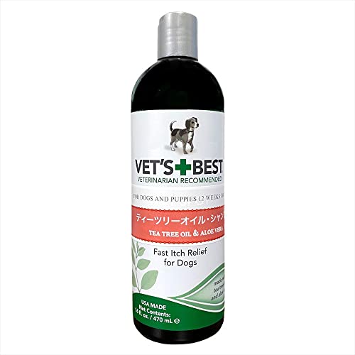 Best Shampoo for Boston Terrier with Skin Allergies Terrier Hub