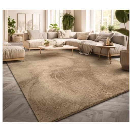 TT Home Tapis Poil Ras Tapis De Salon Monochrome Design Moderne Lavable, Couleur: Beige Foncé, Dimension:120x170 cm