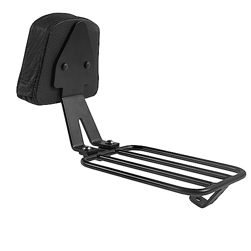 TAZGANTAX Sissy Bar Luggage Rack