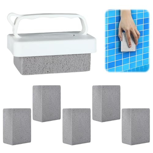 FloralGrace 6 Stück Handgehaltene Pool Bimsstein Schwimmpool Pumice Pool Fliesen Stein Ersatz Putzblock mit Griff für Spa Fliesen Fugen Beton Reinigung
