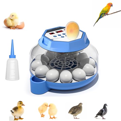 Egg Incubator with Automatic Turn and Viewing