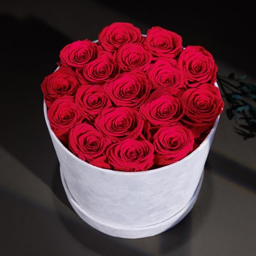 17 Flowers in a Luxury Suede Box, Birthday Gifts for Women, Preserved Flowers, Mothers Day Roses Gift for Mom, Hot Pink