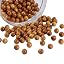 Golden Sandalwood