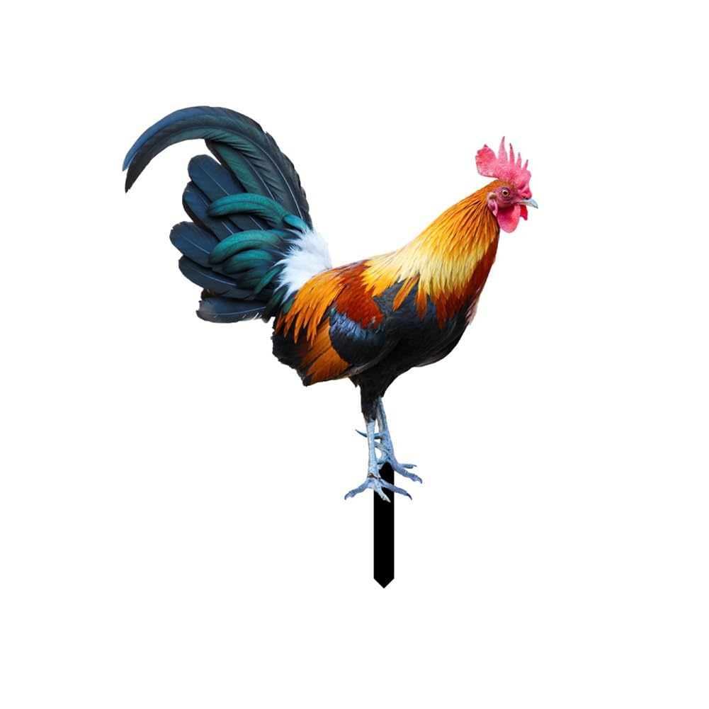 CTRLZS Yard Rooster Sign Rooster Acrylic Outdoor Garden Ground Insert Garden Garden Decoration Insert Card Garden Animals A