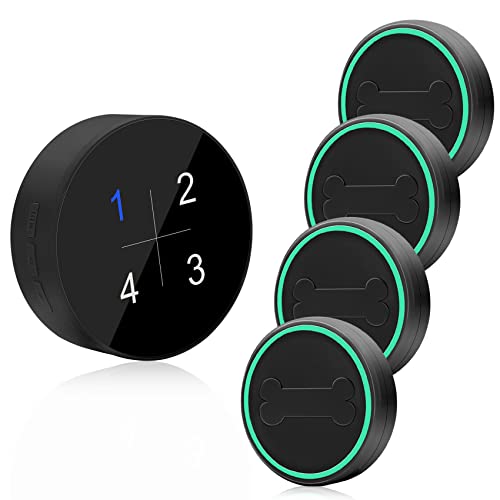 Top 10 Smart Doorbell For Dogs of 2022 Katynel