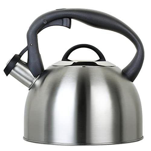 MAISCHOU Flötenkessel für Herdplatte, 2,5 l, Edelstahl, Silbergrau