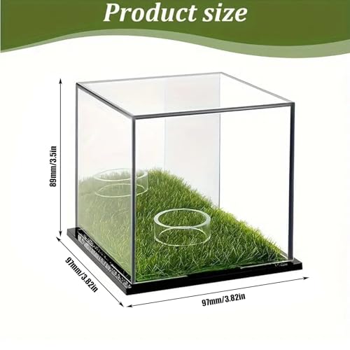Estuche para pelota de golf y béisbol de metacrilato acrílico transparente para vitrina 2