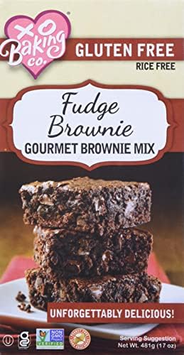 XO Baking Co. Gourmet Fudge Brownie Mix - Non-GMO Gluten-Free Chocolate Chip Brownie Mix - 17oz (Case of 1)