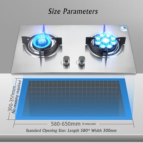 Estufa a gas 2 puestos portátil 16.92 x 29.52 pulgadas de acero miniatura 2