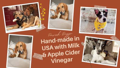 Pawsh Doggo Handmade In The Usa | All Natural Milk & Apple Cider Vinegar Dog Chew | Keeps Your Furry Baby Engaged And Enjoying (3 Pieces Medium Bag) #TOP2
