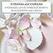 Global Sugar Art Hydrangea Leaves Sugar Cake Flowers Small White, 15 Count by Chef Alan Tetreault